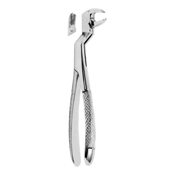 Extracting Forceps 75-6015